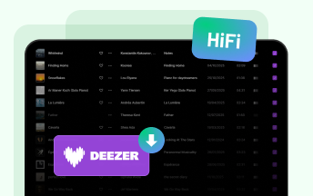 Deezer HiFi in FLAC umwandeln