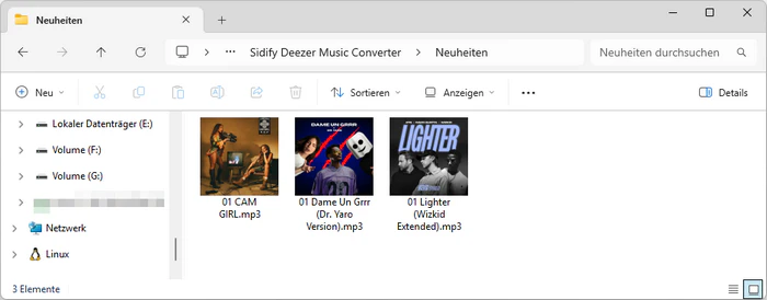 Deezer-Dateien im MP3-Format im Ausgabeordner