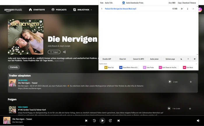 Audio Downloader Prime