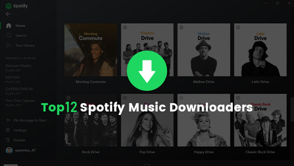 Top 12 Spotify Downloader im Test