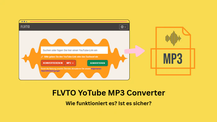 FLVTO Erfahrungen und Alternative