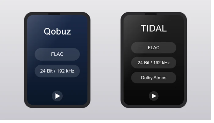 Qobuz vs. TIDAL: Format