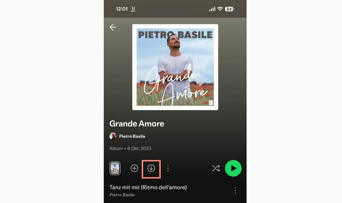 Spotify Titel herunterladen