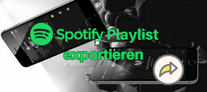 Spotify Playlists exportieren