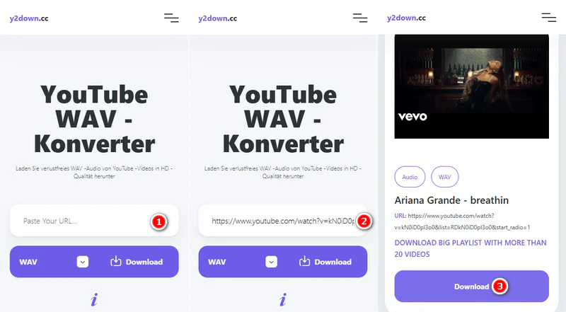 y2down wav downloader