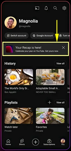 YouTube Recap 2025 in YouTube-App finden