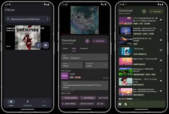 YTDLnis YouTube Downloader
