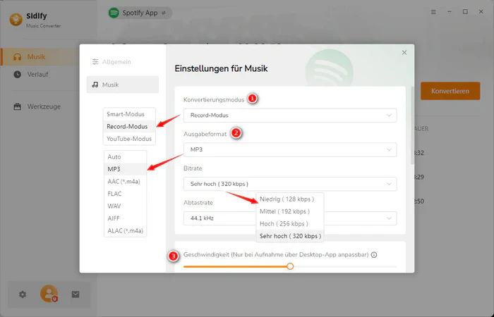 Konvertierungseinstellungen von Spotify-Musik