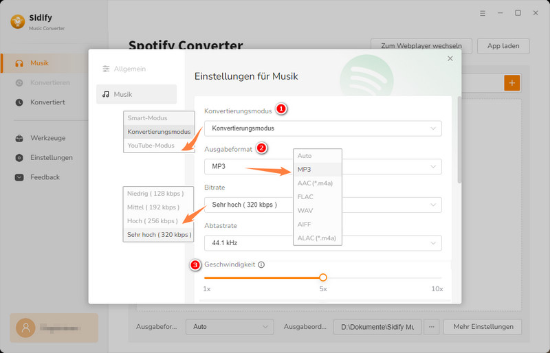 Ausgabeformat auf MP3 eingestellt