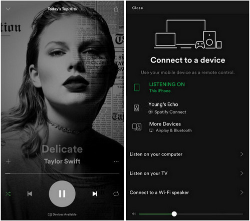 choose echo from devices