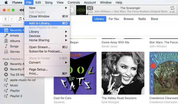 Spotify zu iTunes Bibliothek importieren