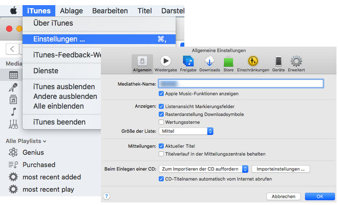 iTunes Einstellungen