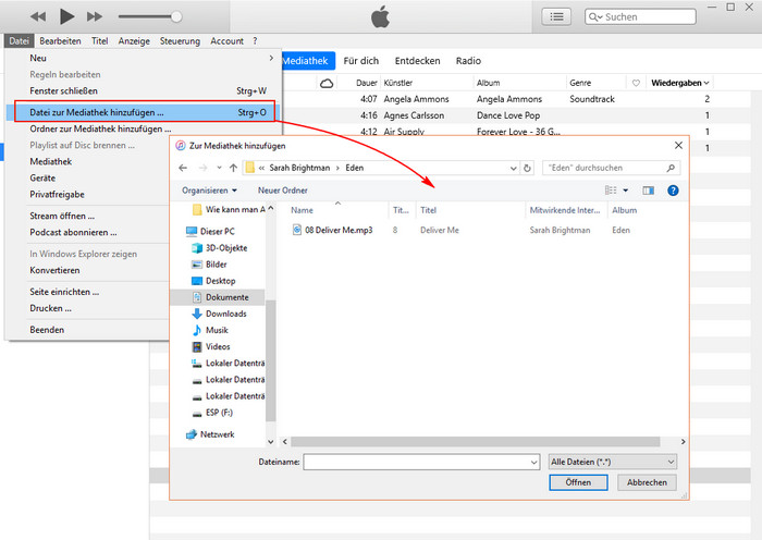 Musik in iTunes importieren